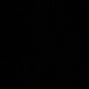 Meet your Posher, Calvin